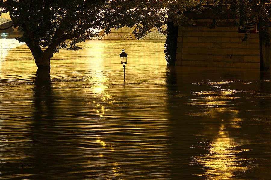 Fleuve d'or - Paris