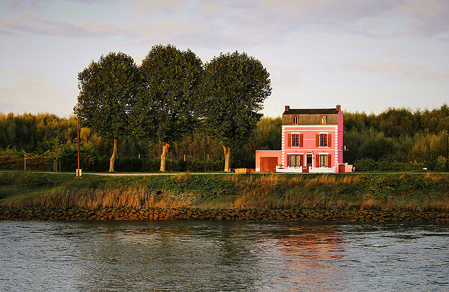 La vie en rose